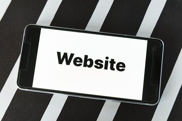 Website Development