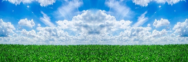 Website Redesign