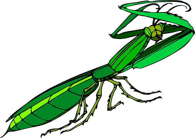 Wildlife Pest Control