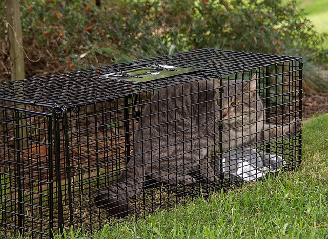 Wildlife Pest Control