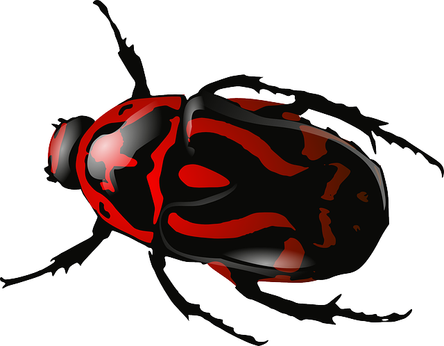 Wildlife Pest Control