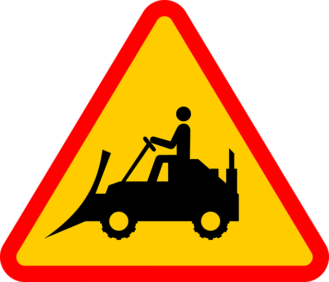 Wildlife Removal
