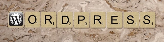 WordPress Design