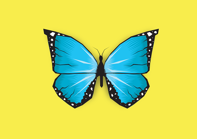 wordpress-design-640x480-44105715.png