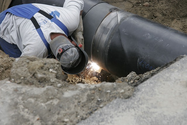 Workers’ Compensation