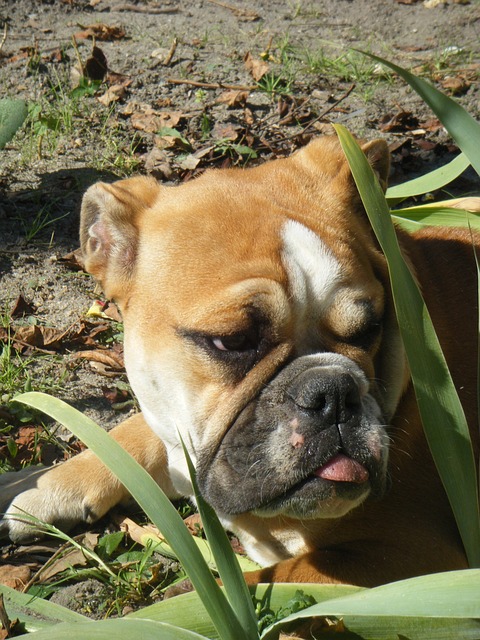 Wrinkle Reduction