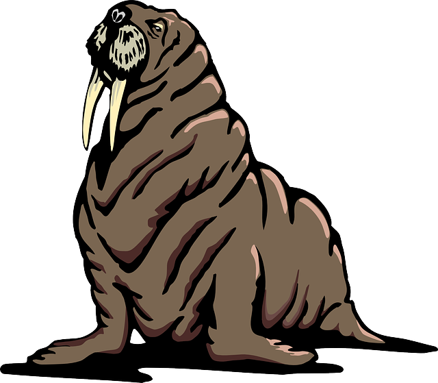 Wrinkle Reduction