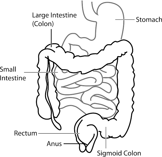 Abdominal CoolSculpting
