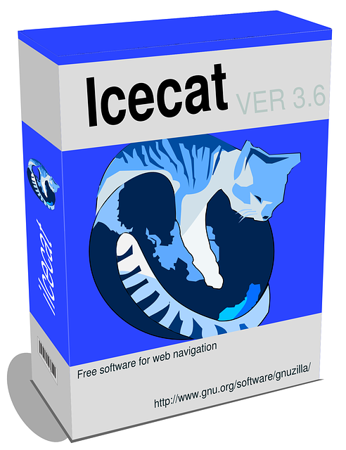 accounting software IT