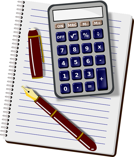 accounting software IT