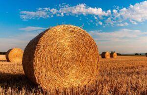 Round Rock Acupuncturist: Unlocking Local Search Secrets for Stress Relief
