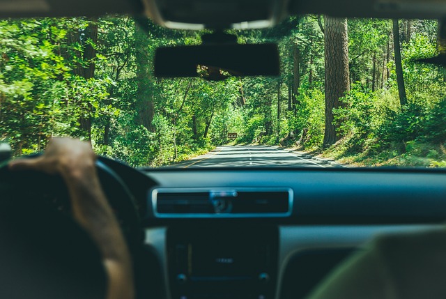 Affordable Car Insurance for New Drivers