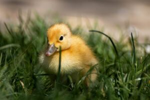 Affordable Small Business Risk Management: Protecting Your Venture on a Budget
