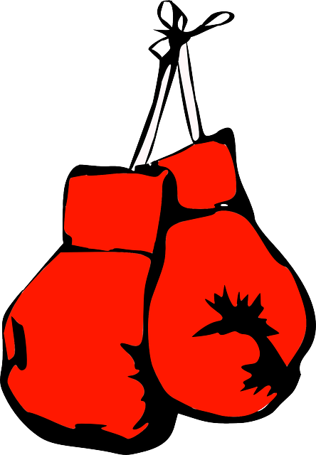 Arizona fight gym