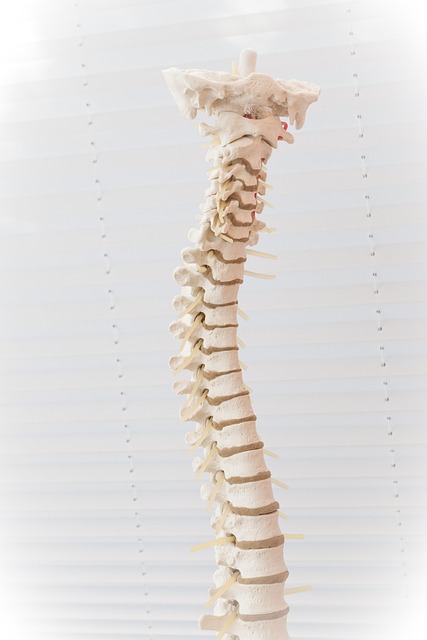 Arizona insurance for doctors and clinics