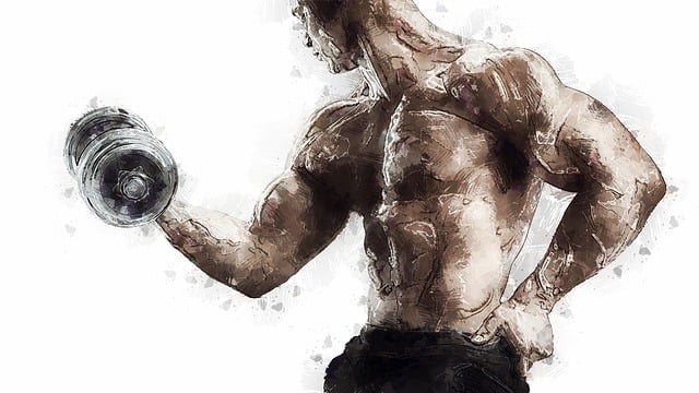 AZ Combat Sports gym