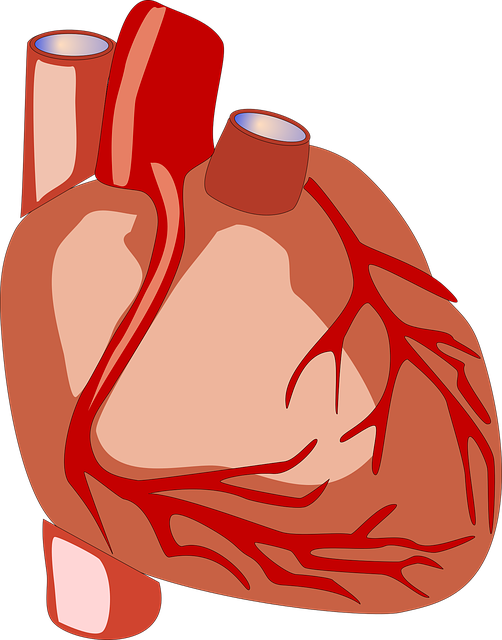 AZ healthcare liability insurance