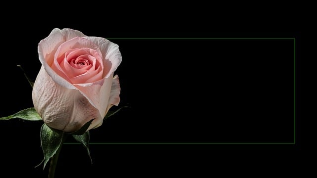 bereavement counseling Chandler
