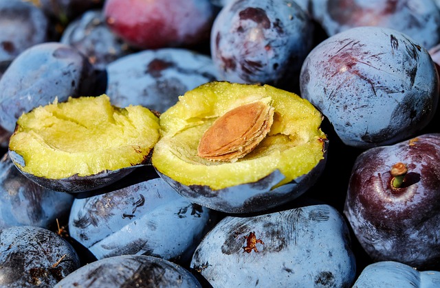 Best CBD Edibles