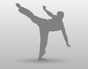 All-Ages Martial Arts in Tempe: Navigating a Diverse Landscape