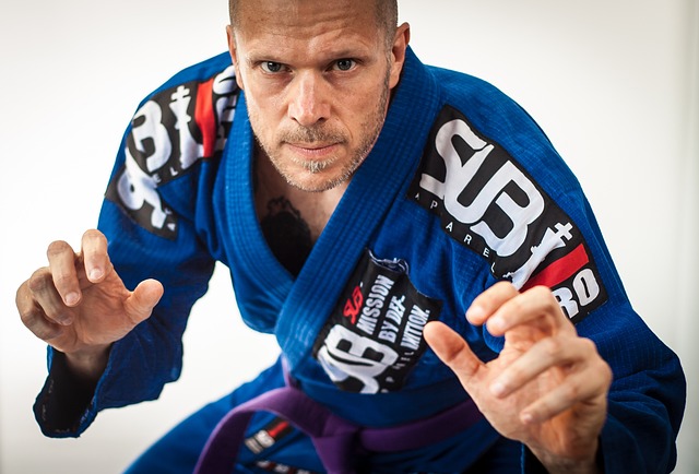 BJJ near ASU