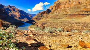 Discover BJJ Near ASU: Gi or No-Gi Training in Tempe