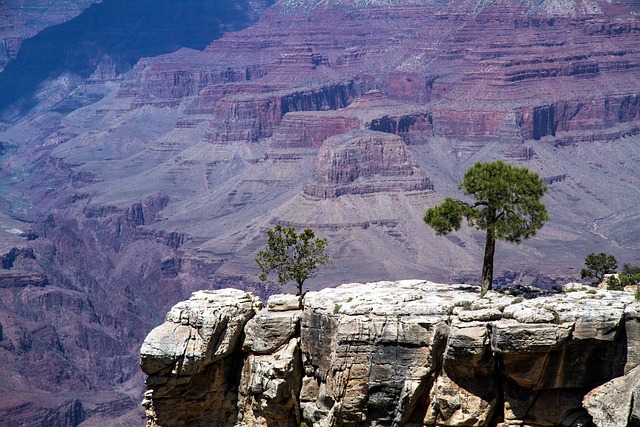 Bodify Arizona