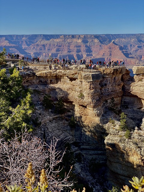 Bodify Arizona