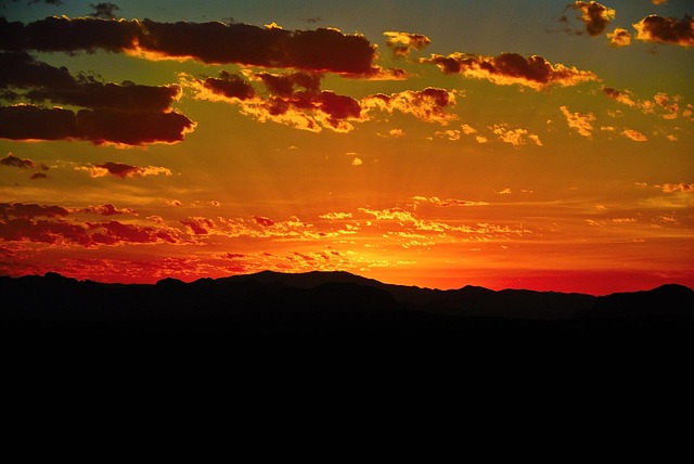 Bodify Arizona