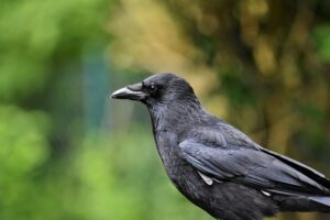 Botox for Crow’s Feet and Smile Lines: Comprehensive Guide to Treatment
