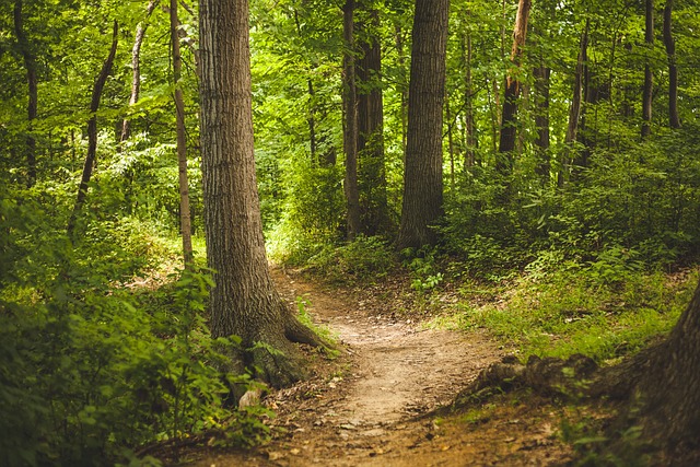 Breadcrumb Trail Schema