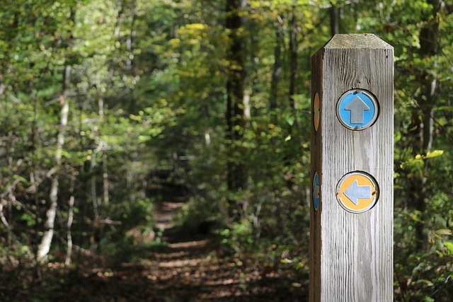 Breadcrumb Trail Schema