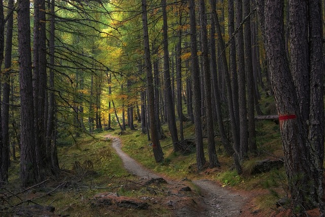 Breadcrumb Trail Schema