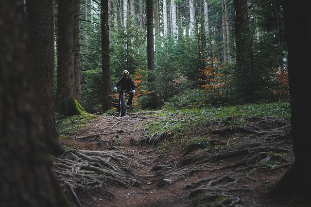 Breadcrumb Trail Schema