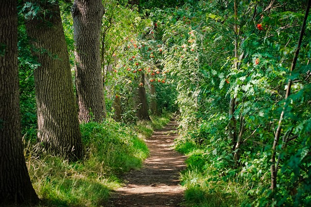 Breadcrumb Trail Schema