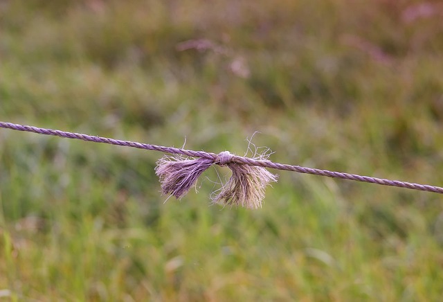 Business Interruption Insurance