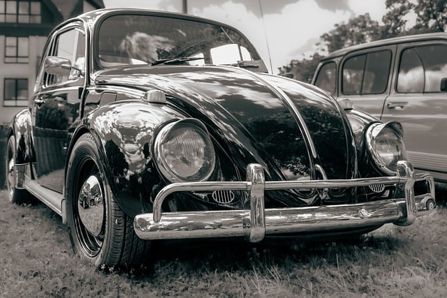 Car Insurance