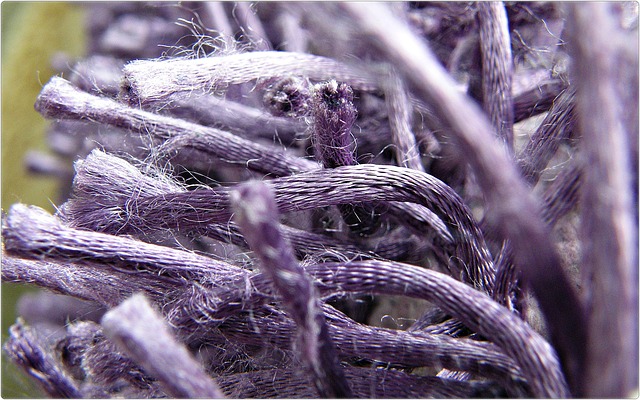 carpet deodorizing