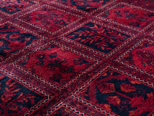 carpet deodorizing