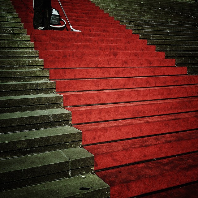 carpet lathering service