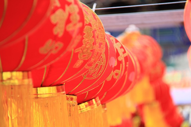 Chinese medicine Round Rock
