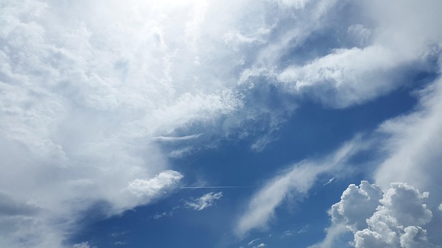 cloud-based Xero