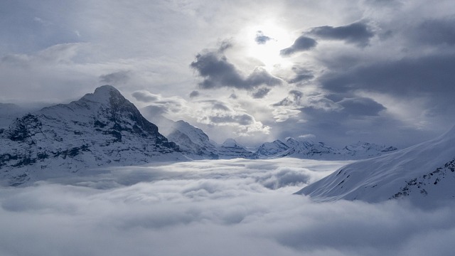 cloud-based Xero