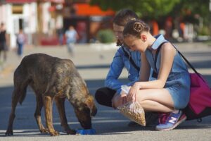 Child-Sharing Mediation: Collaborative Solutions for Flexible Parenting Plans