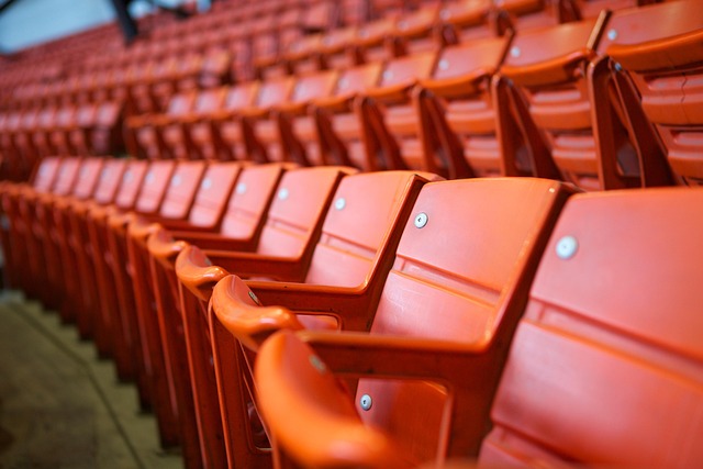 Combat Sports Tempe