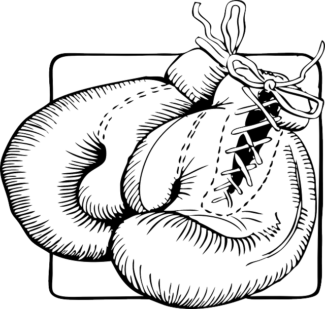 Combat Sports Tempe