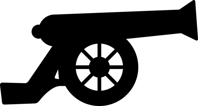 Combat Sports Tempe
