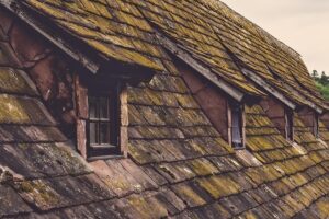 Maximizing Commercial Roof Lifespan: Maintenance Tips & Local Experts Near You