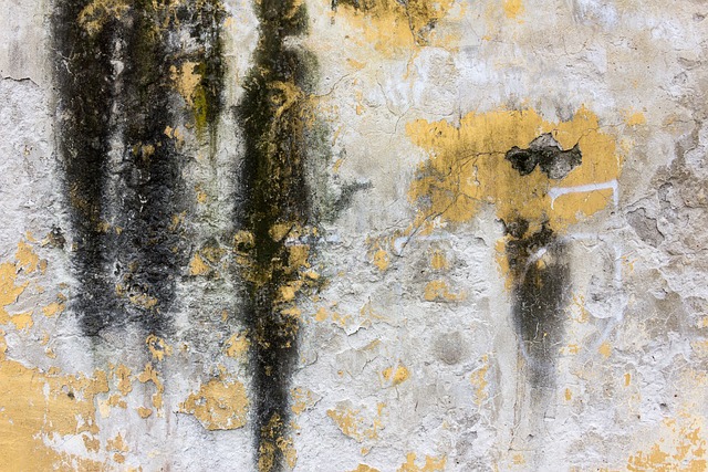 Concrete Repair
