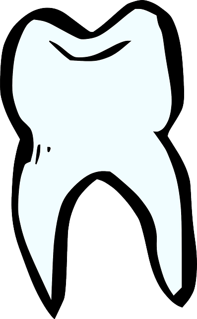coverage for dental practices